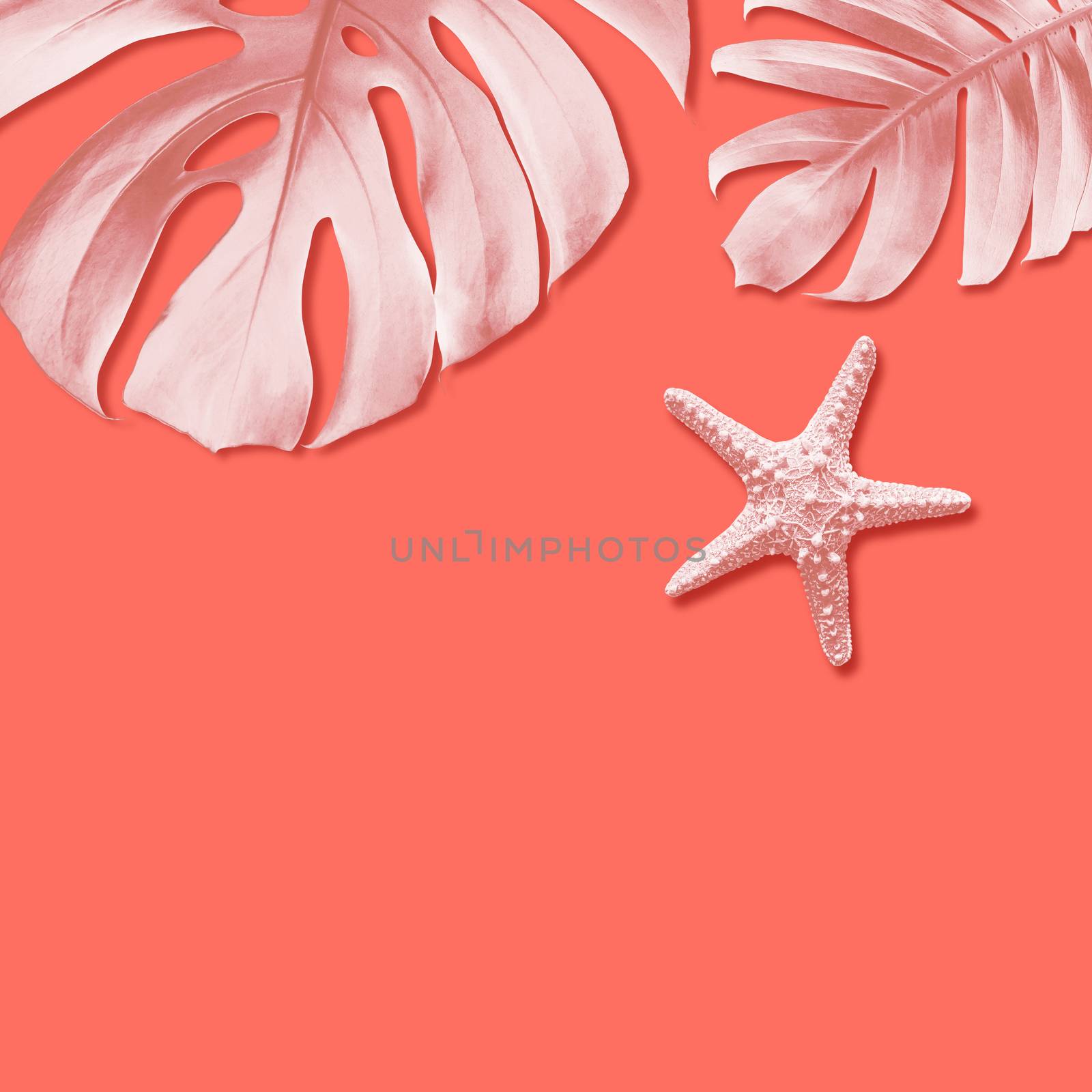 Starfish and summer tropical leaves on orange background with co by Myimagine