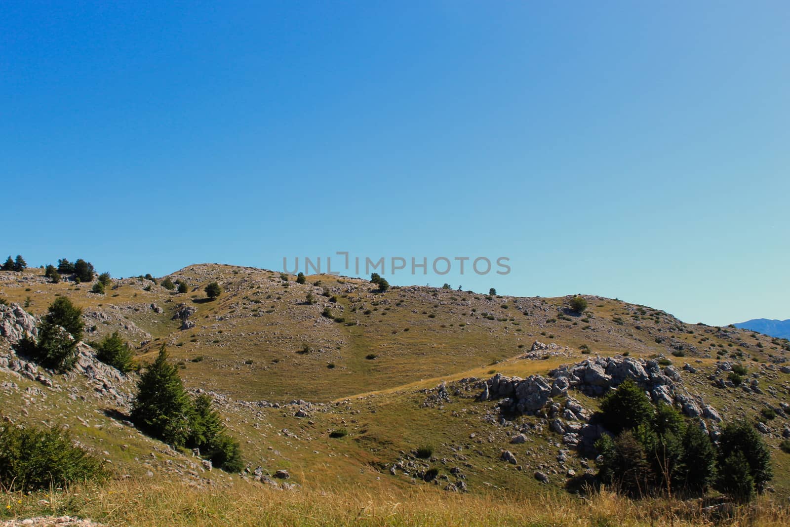 Mountain karst with a some grass and some trees. Bjelasnica Mountain, Bosnia and Herzegovina.