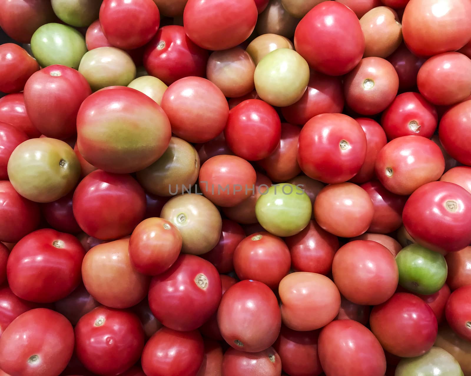 Close up sida tomato background