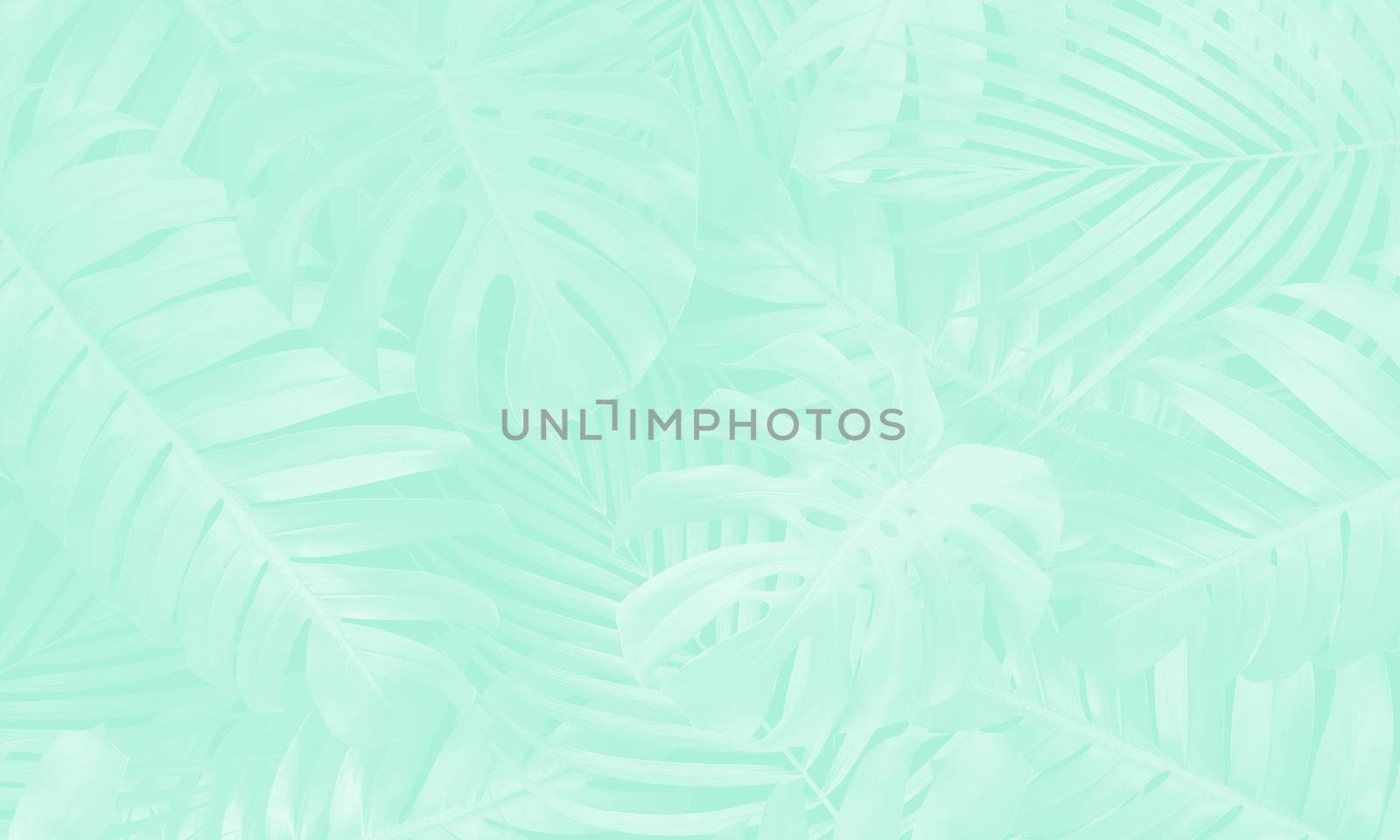 Neo mint color tropical leaves background