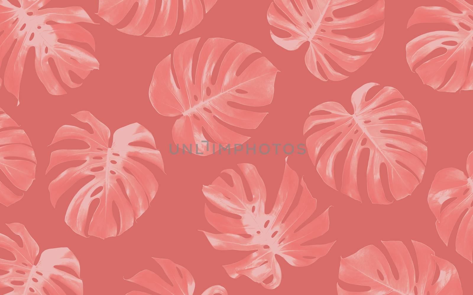 Monstera leaves pattern background design tropical summer by Myimagine