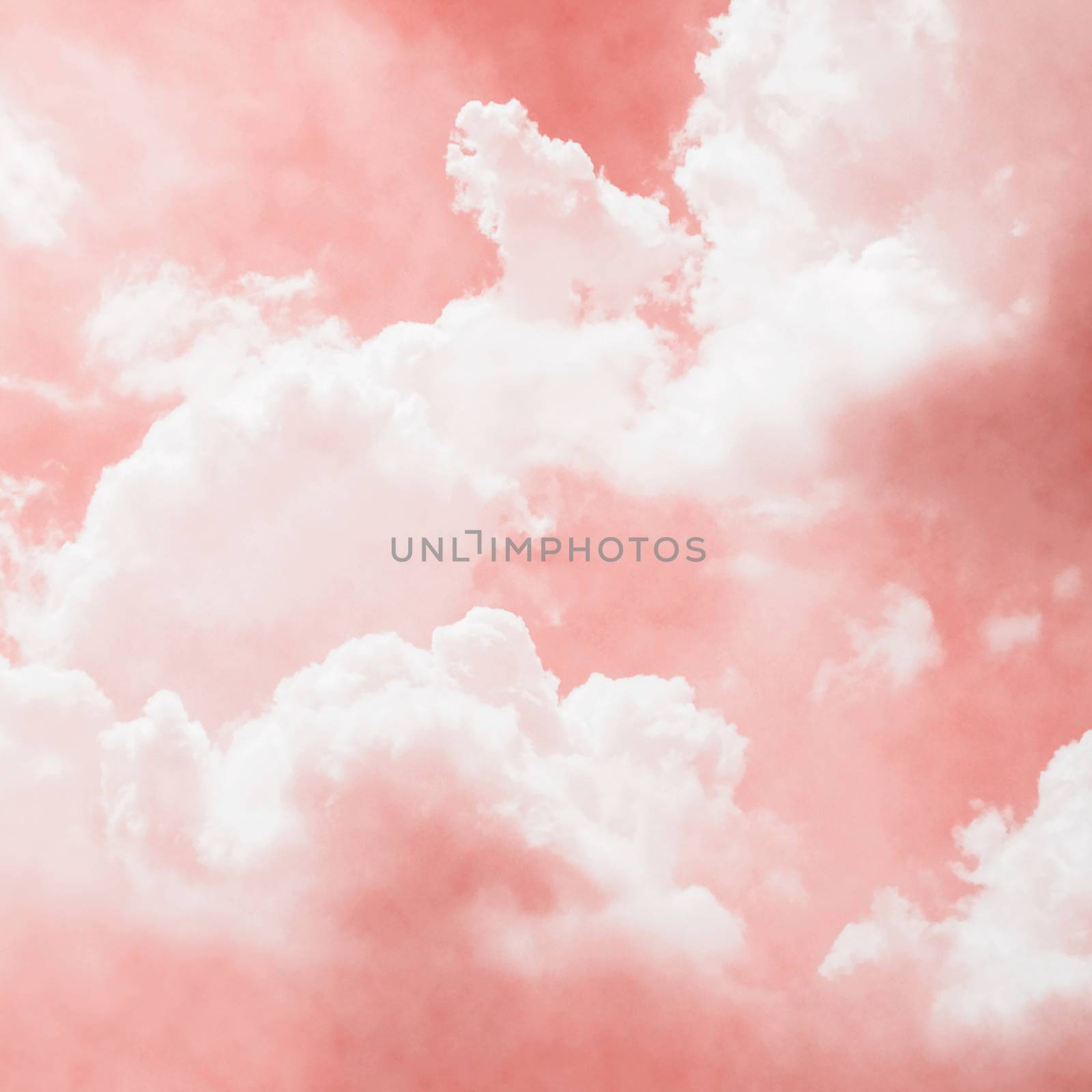 Living coral sky with cloud background