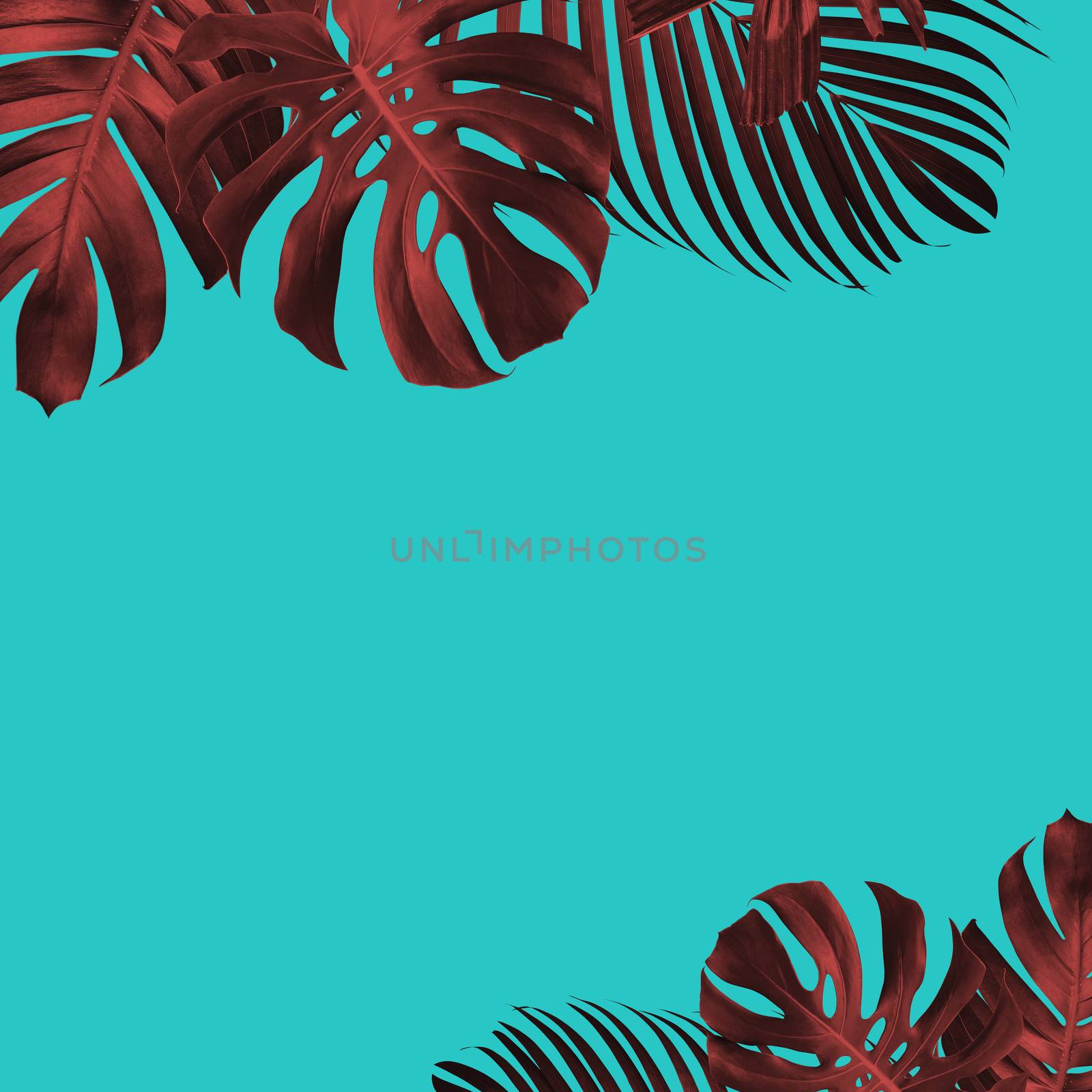 Summer tropical leaves background duo tone style