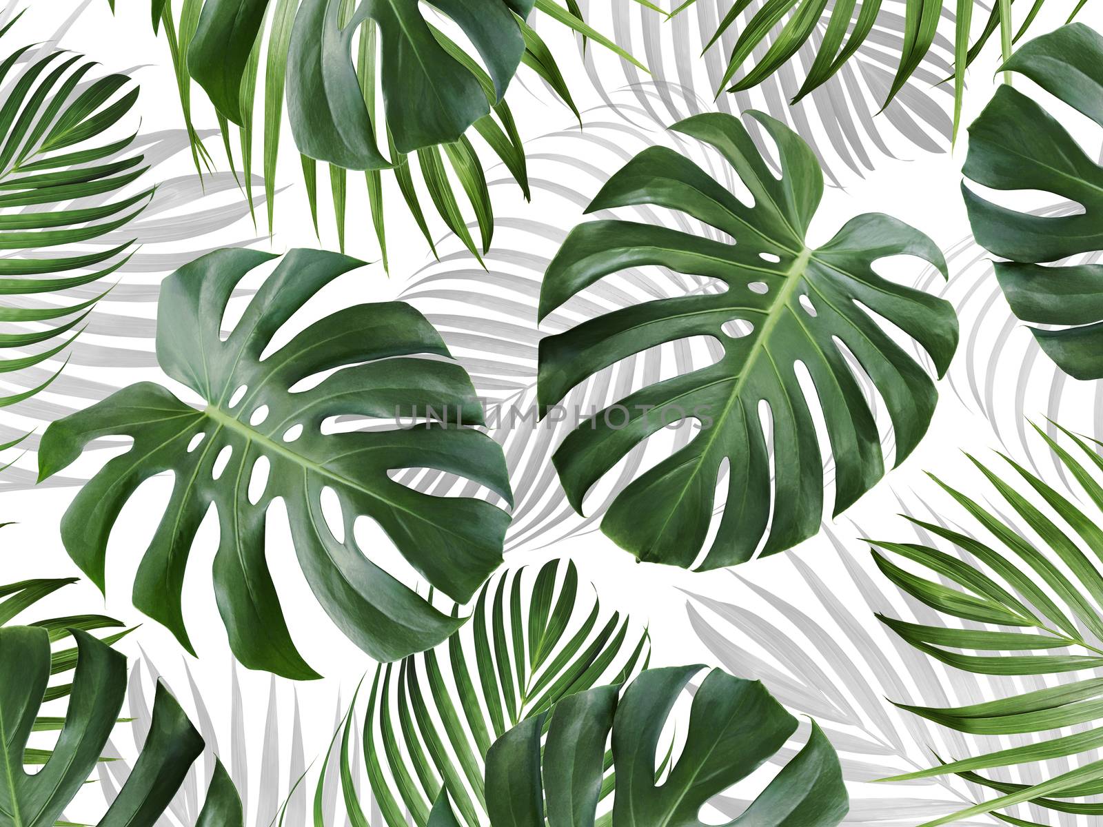 Tropical leaves pattern background design of monstera and yellow by Myimagine