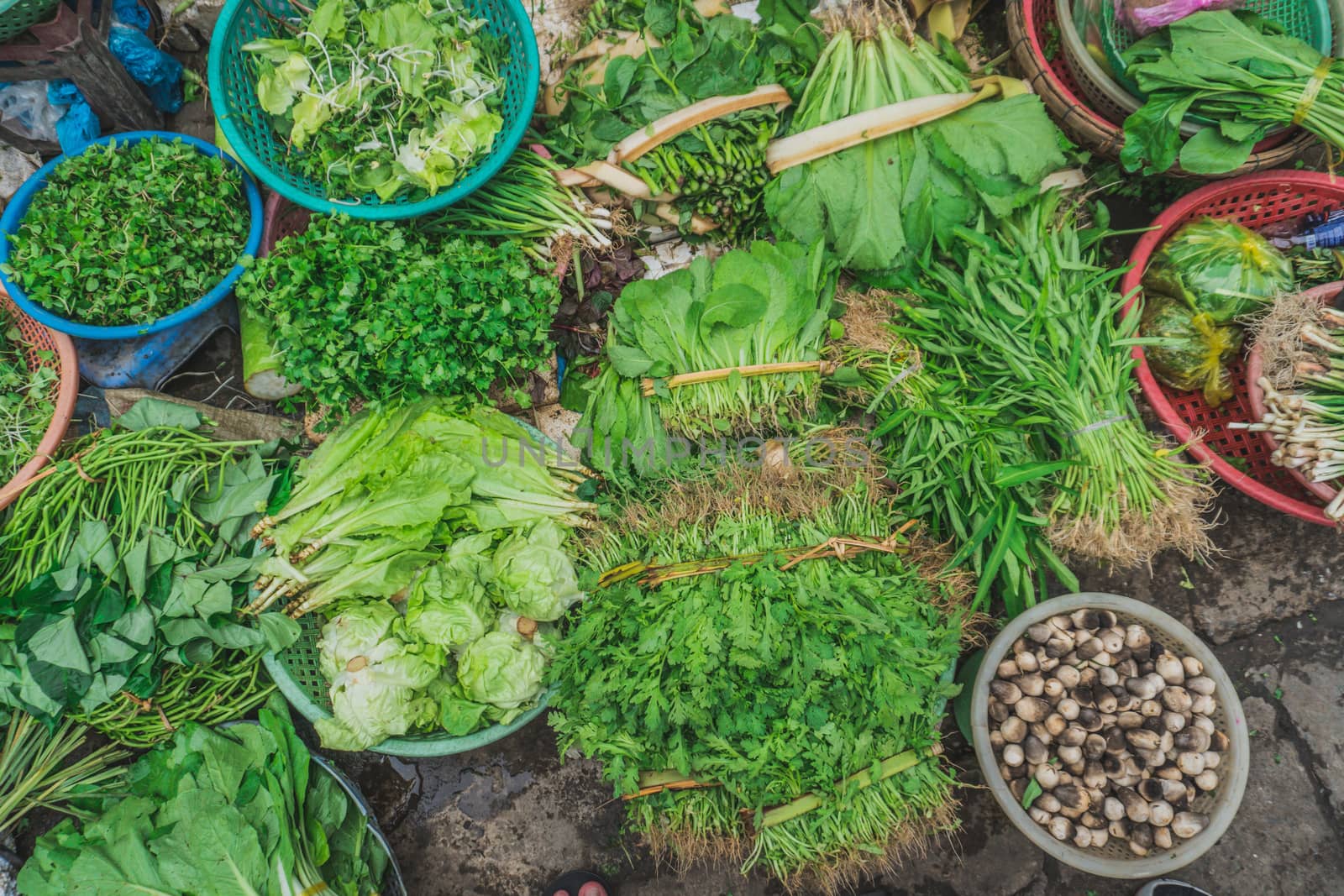 Different vegetables at a street market in asia. Hoi An, Vietnam