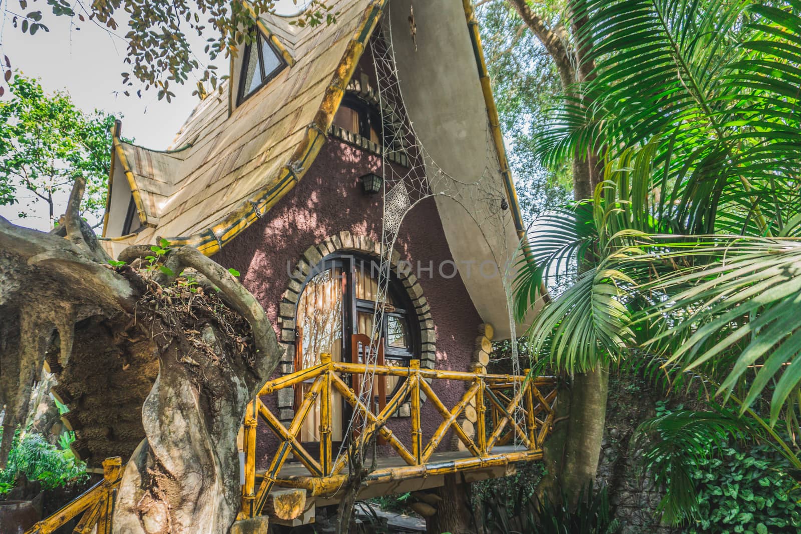 Strange Architecture and Gardens of Hang Nga Crazy House. Dalat, Vietnam - March 17, 2020