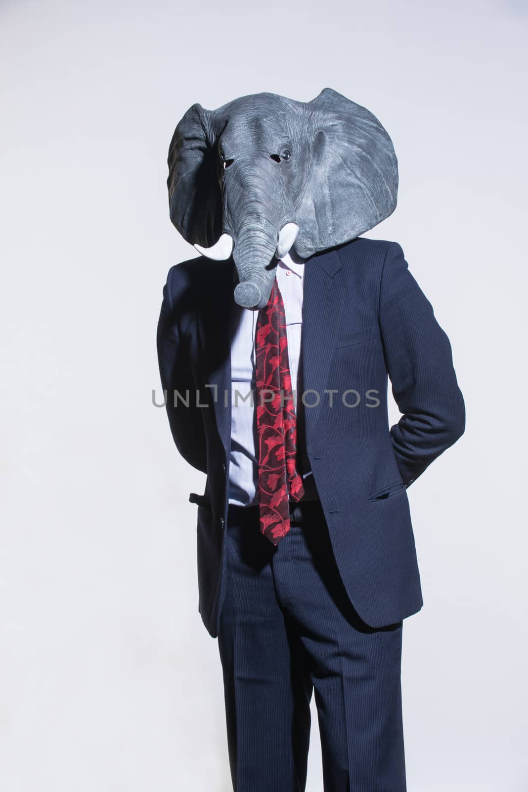 A man in a suit and an elephant mask on a light background. Conceptual business background