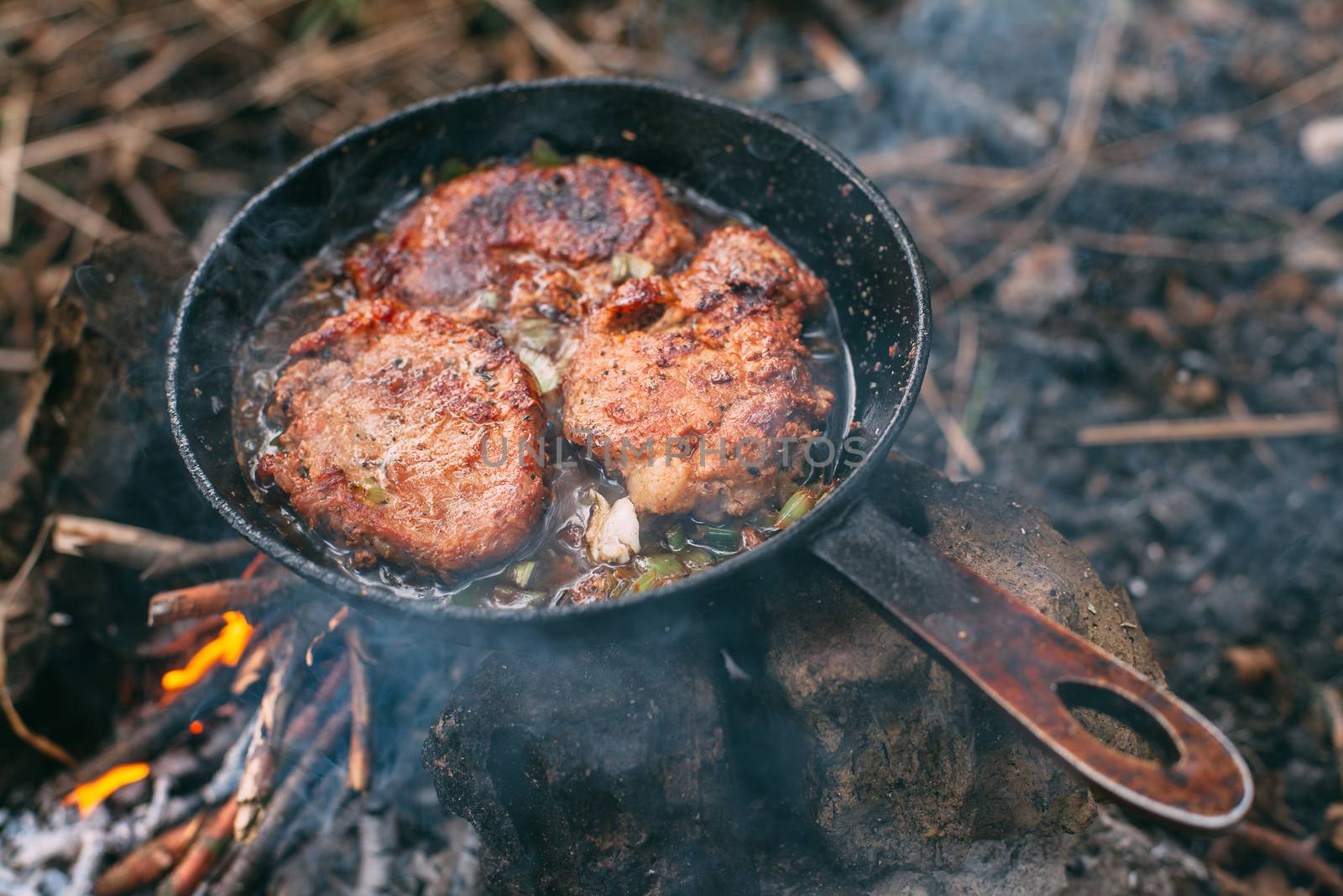 Frying meat in a pan over an open fire with leek. Steak in a pan on a fire. Cooking in nature. Picnic. Grill on fire. Cooking meat in wine with seasonings.