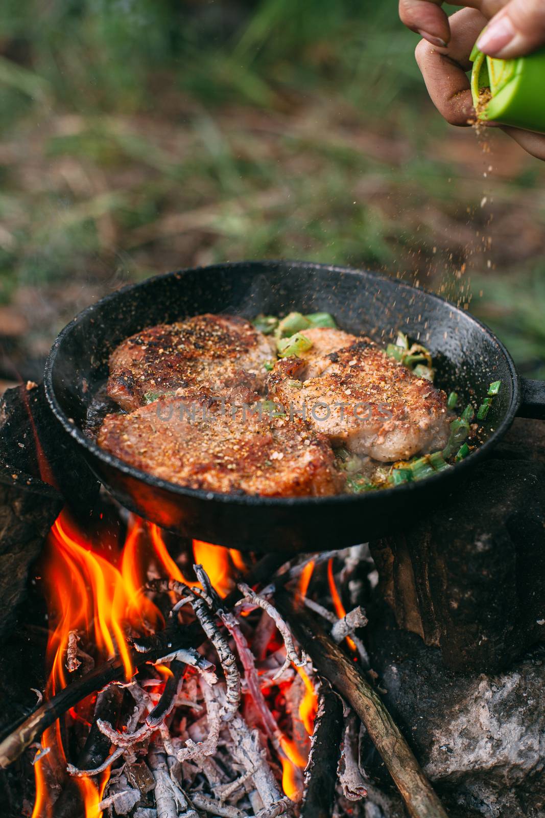 Frying meat in a pan over an open fire with leek. Steak in a pan on a fire. Cooking in nature. Picnic. Grill on fire. Hand adding seasoning.