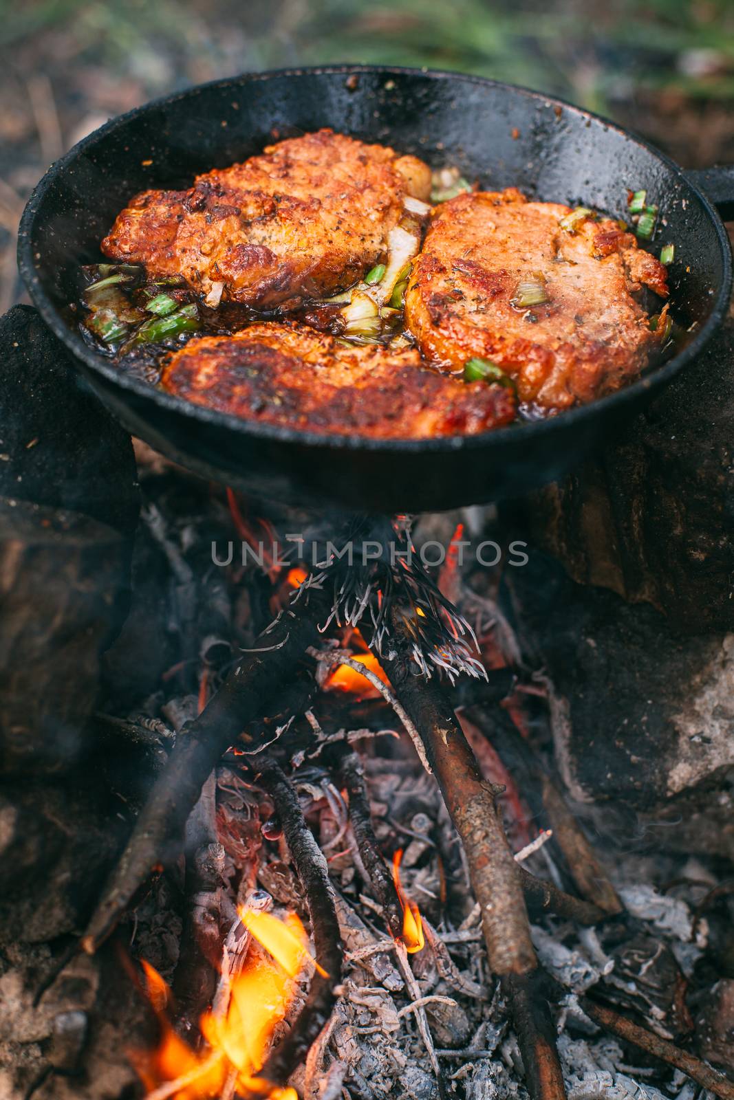 Frying meat in a pan over an open fire with leek. Steak in a pan by Opikanets