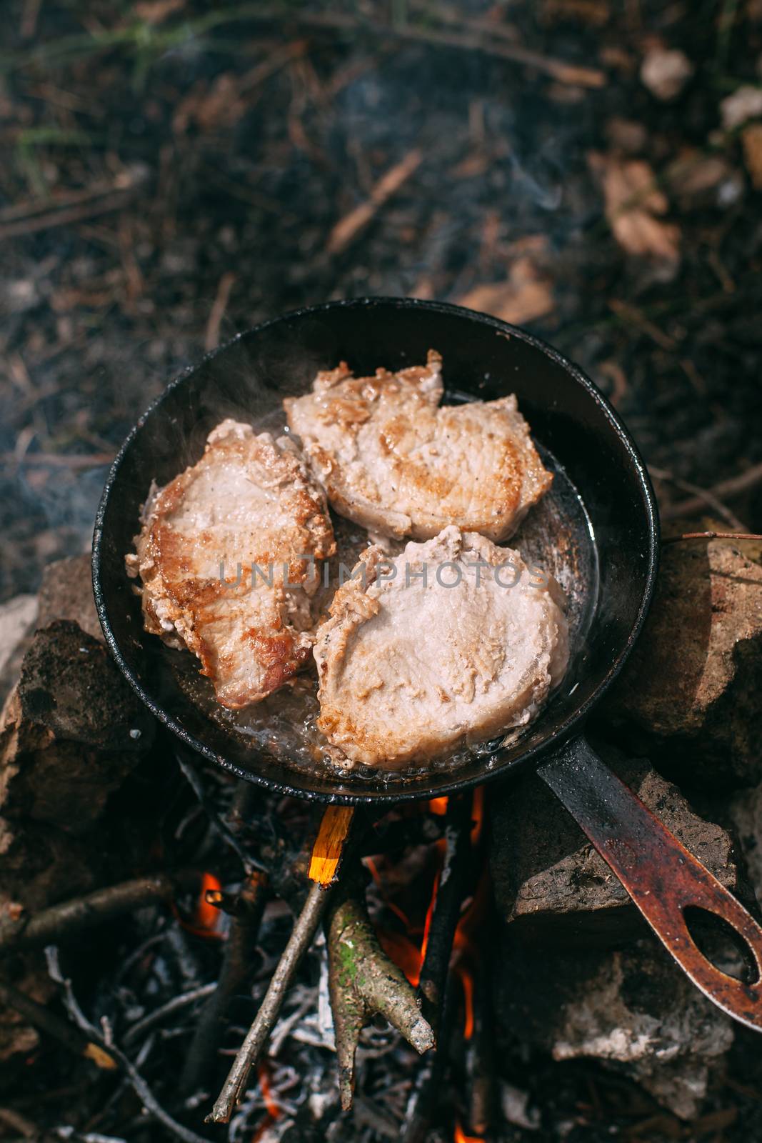 Frying meat in a pan over an open fire with leek. Steak in a pan by Opikanets