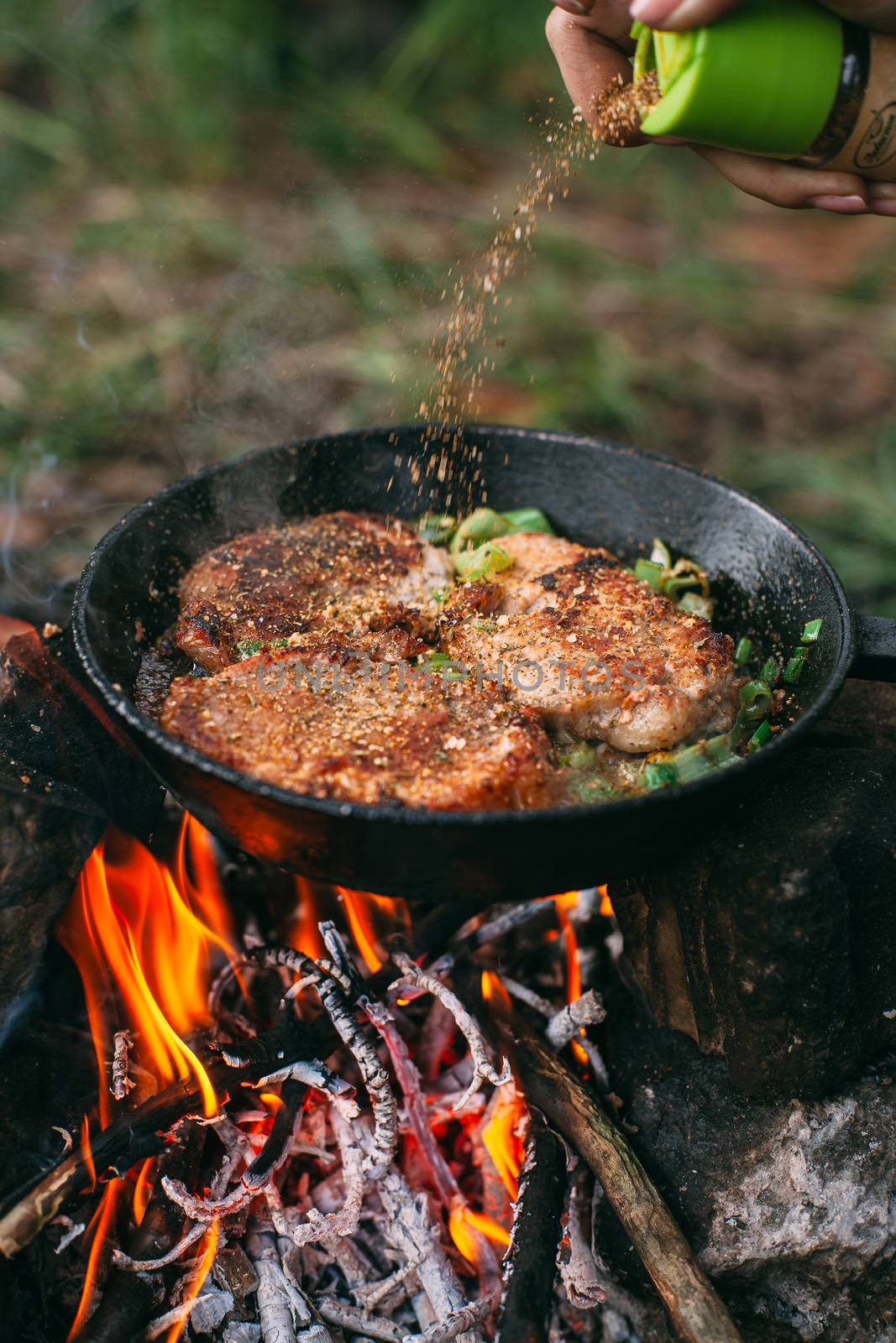 Frying meat in a pan over an open fire with leek. Steak in a pan by Opikanets