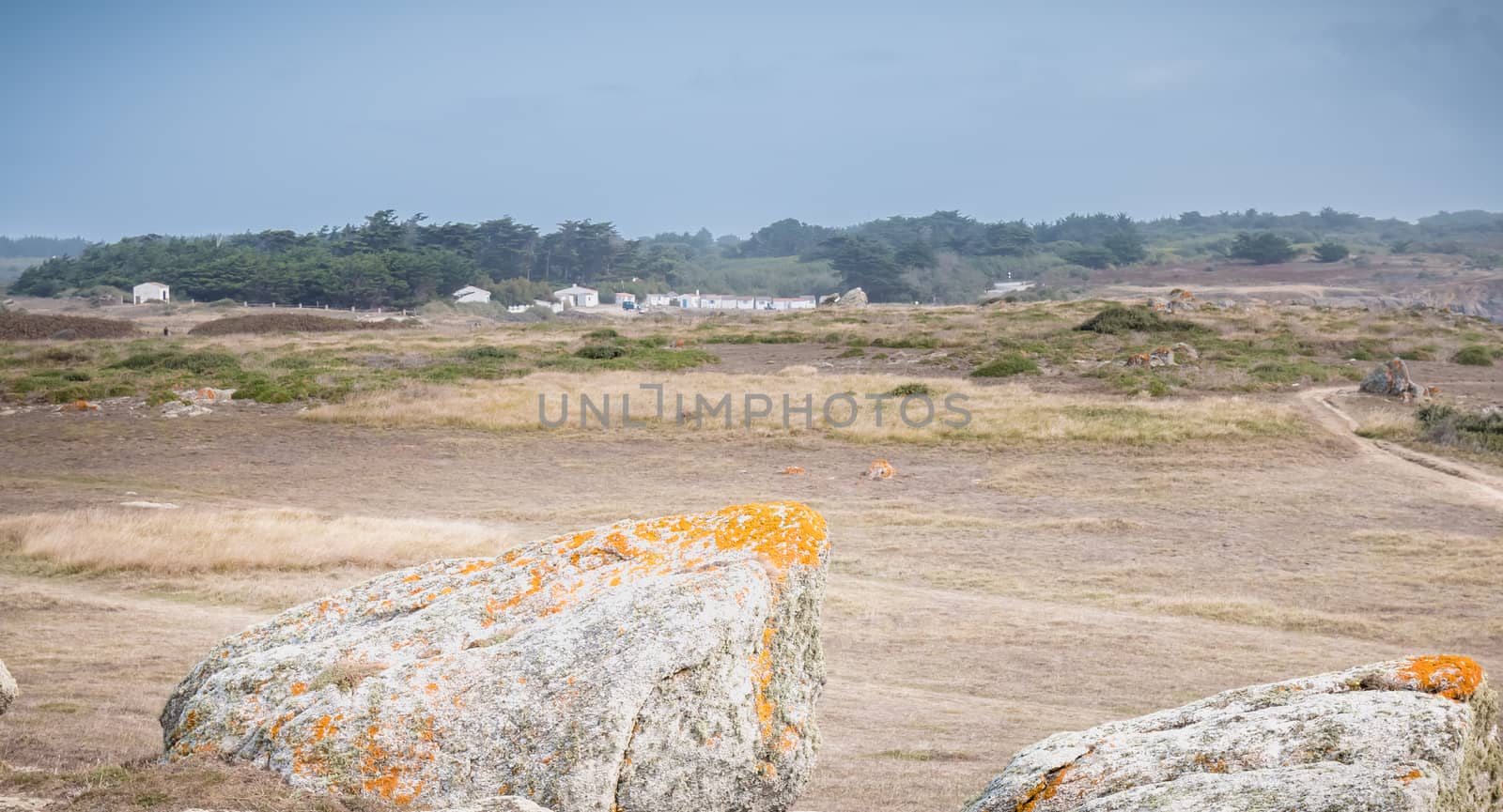 view of the rocky dune of Ile d'Yeu next to the sea with its small beach house, France