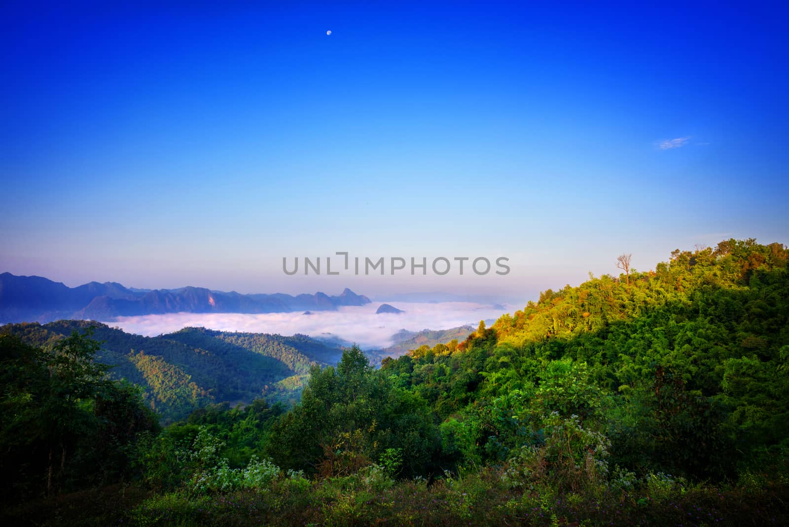 Morning in the mountains in Tak province, Thailand.