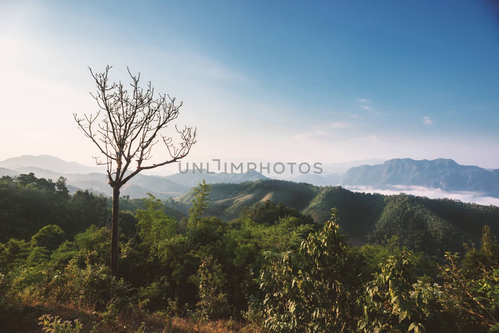 Morning in the mountains in Tak province, Thailand.