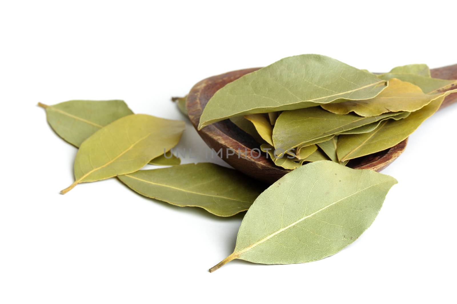 Closeup dried bay leaves, ingredient for cooking, Herb concept.