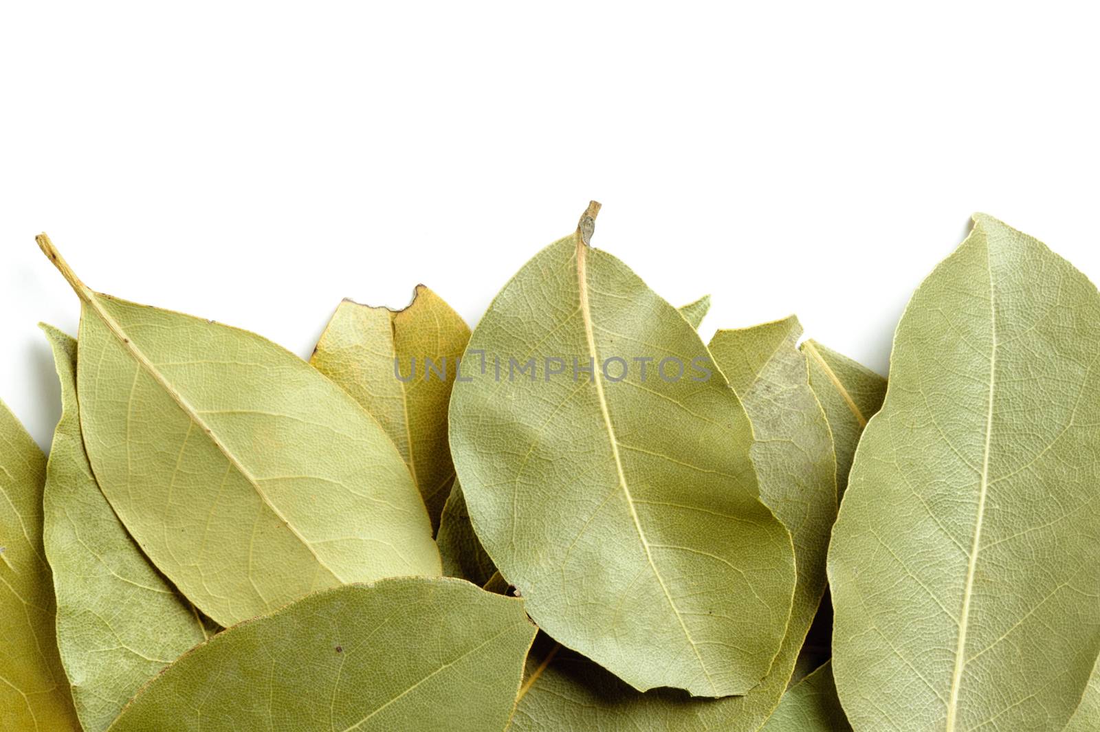 Closeup dried bay leaves, ingredient for cooking, Herb concept.