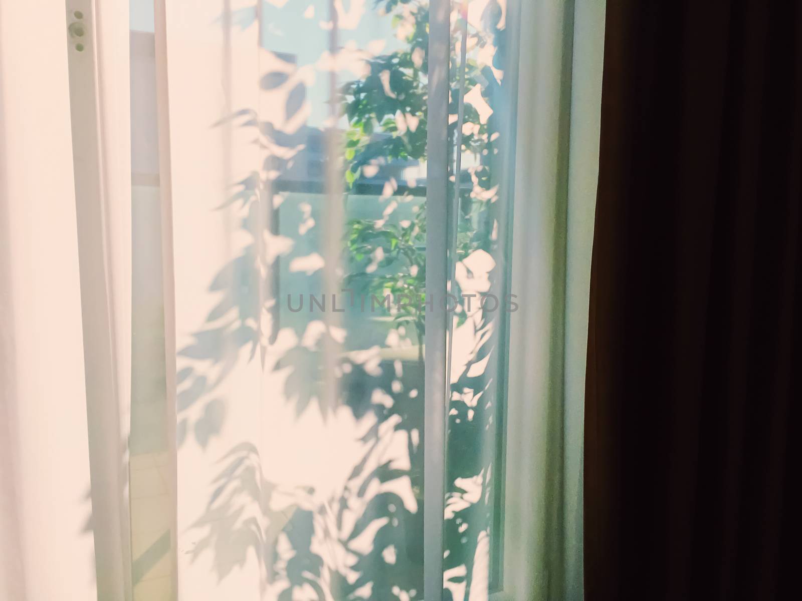Curtains on window at sunset, furniture and design