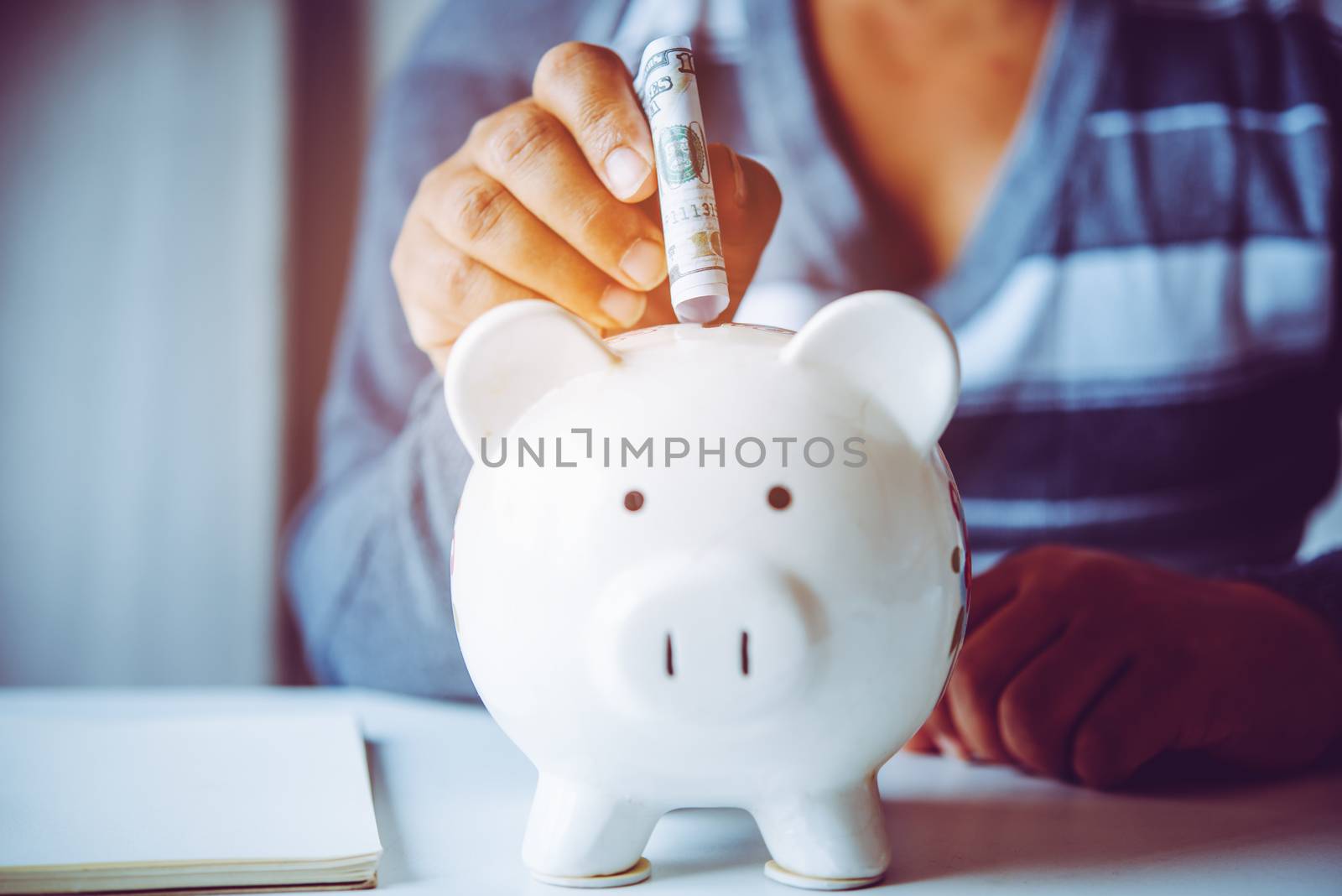 Hands are money  into a piggy bank - concept of saving.