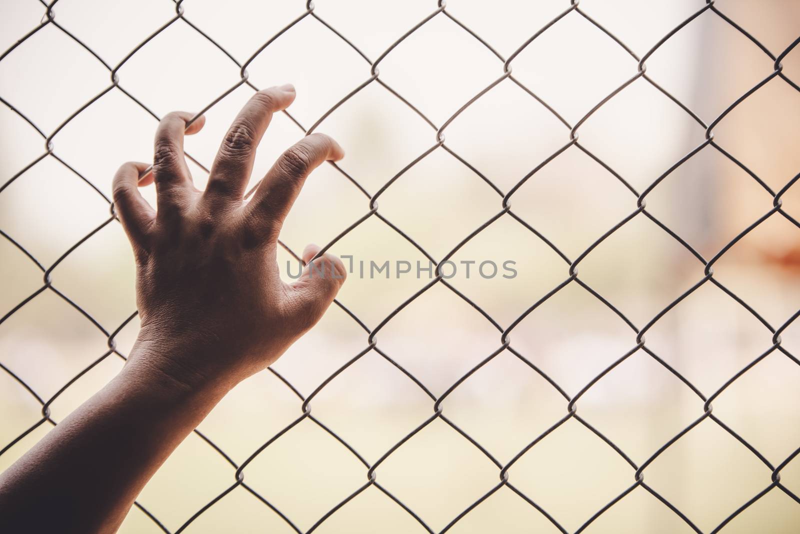 Hands and Steel Cage