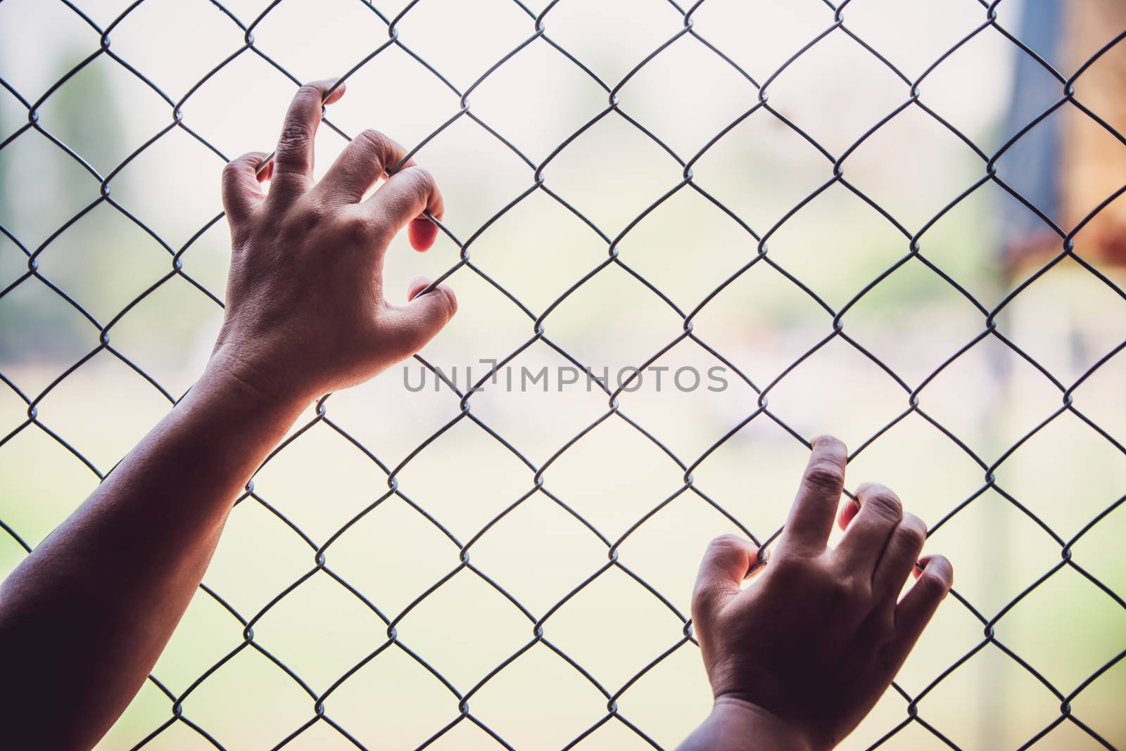 Hands and Steel Cage