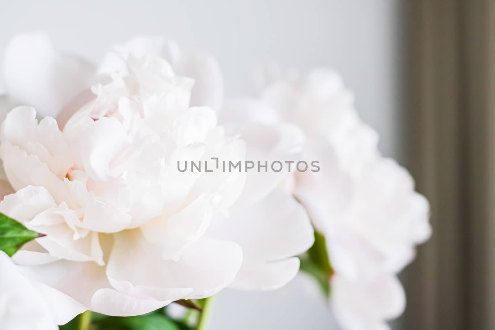 Chic bouquet of peony flowers in vase as home decor idea, luxury interior design and decoration concept