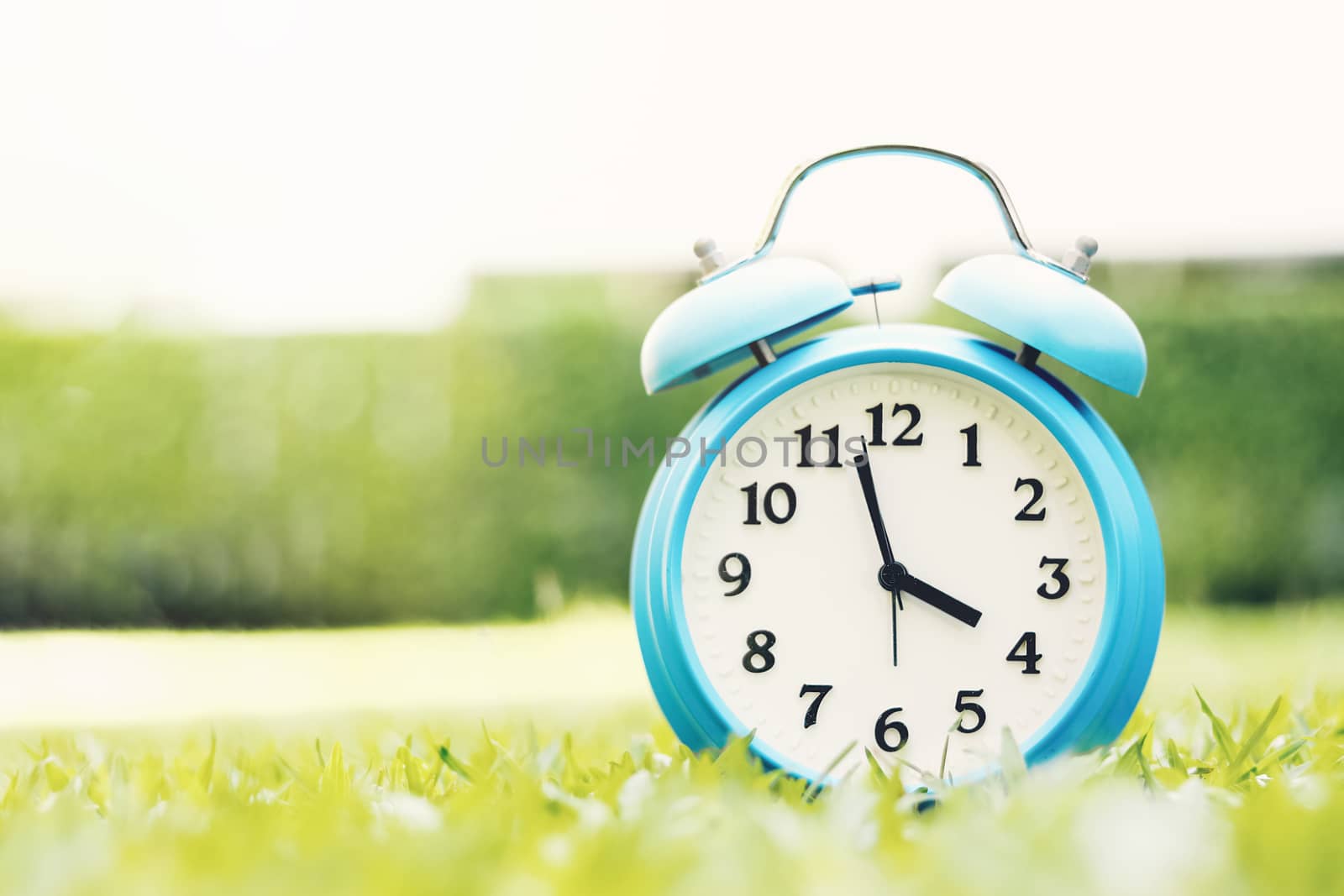 alarm clock on grass in the afternoon by winnond