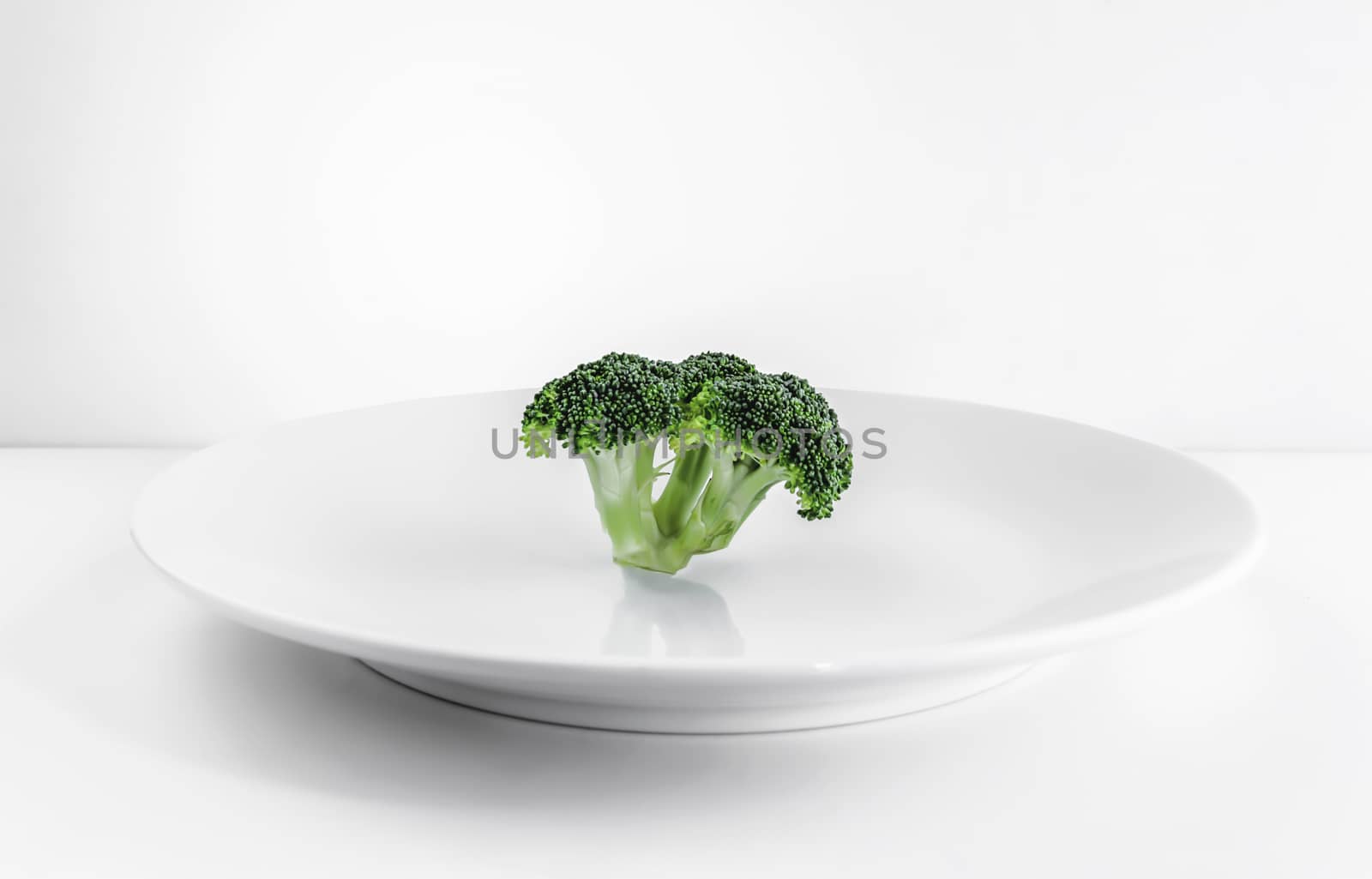 fresh broccoli on white plate