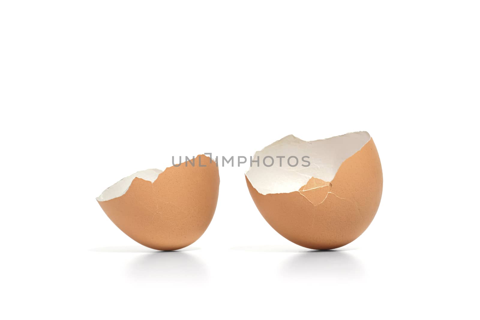 egg shell with crack on white by winnond