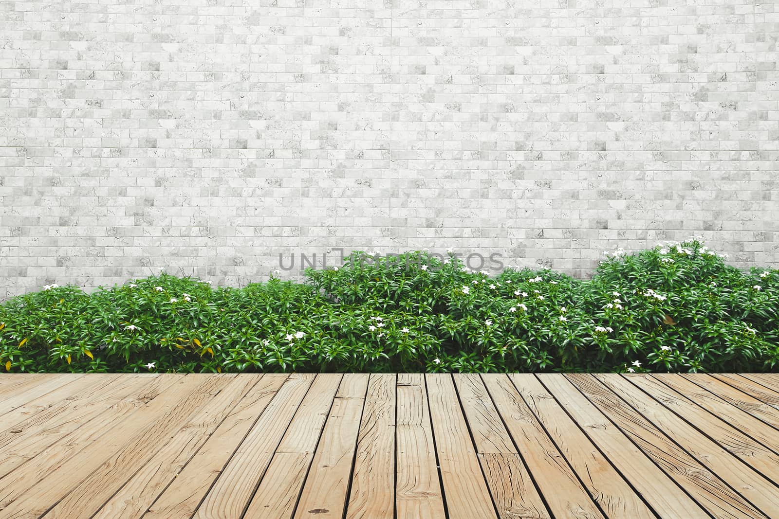 bush with brick wall and wood floor background