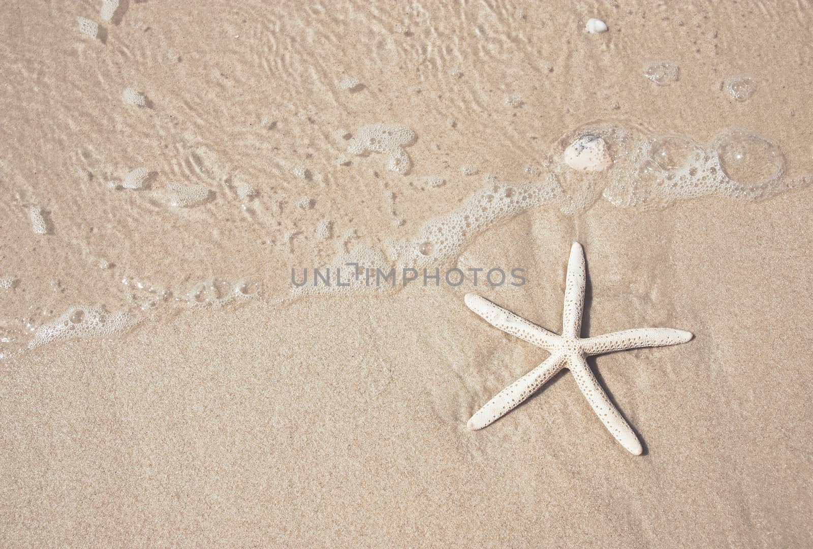 starfish and clear water on the sandy beach by winnond