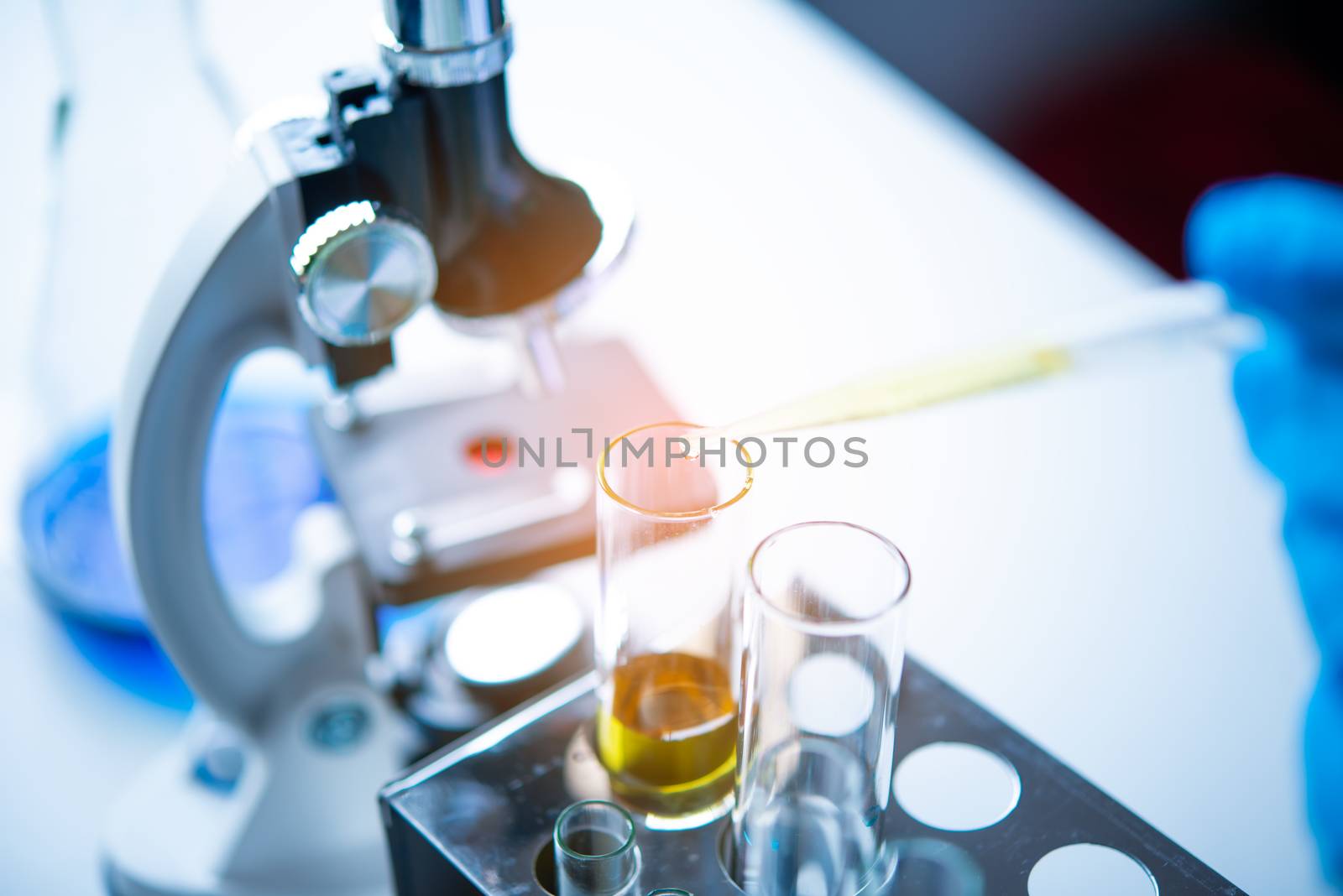 closeup-pipette dropping a sample into a test tube in an experiment research in laboratory.