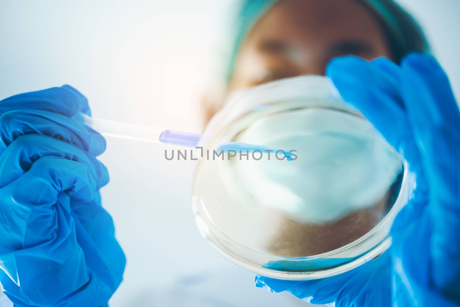 closeup-pipette dropping a sample into a test tube in an experiment research in laboratory.