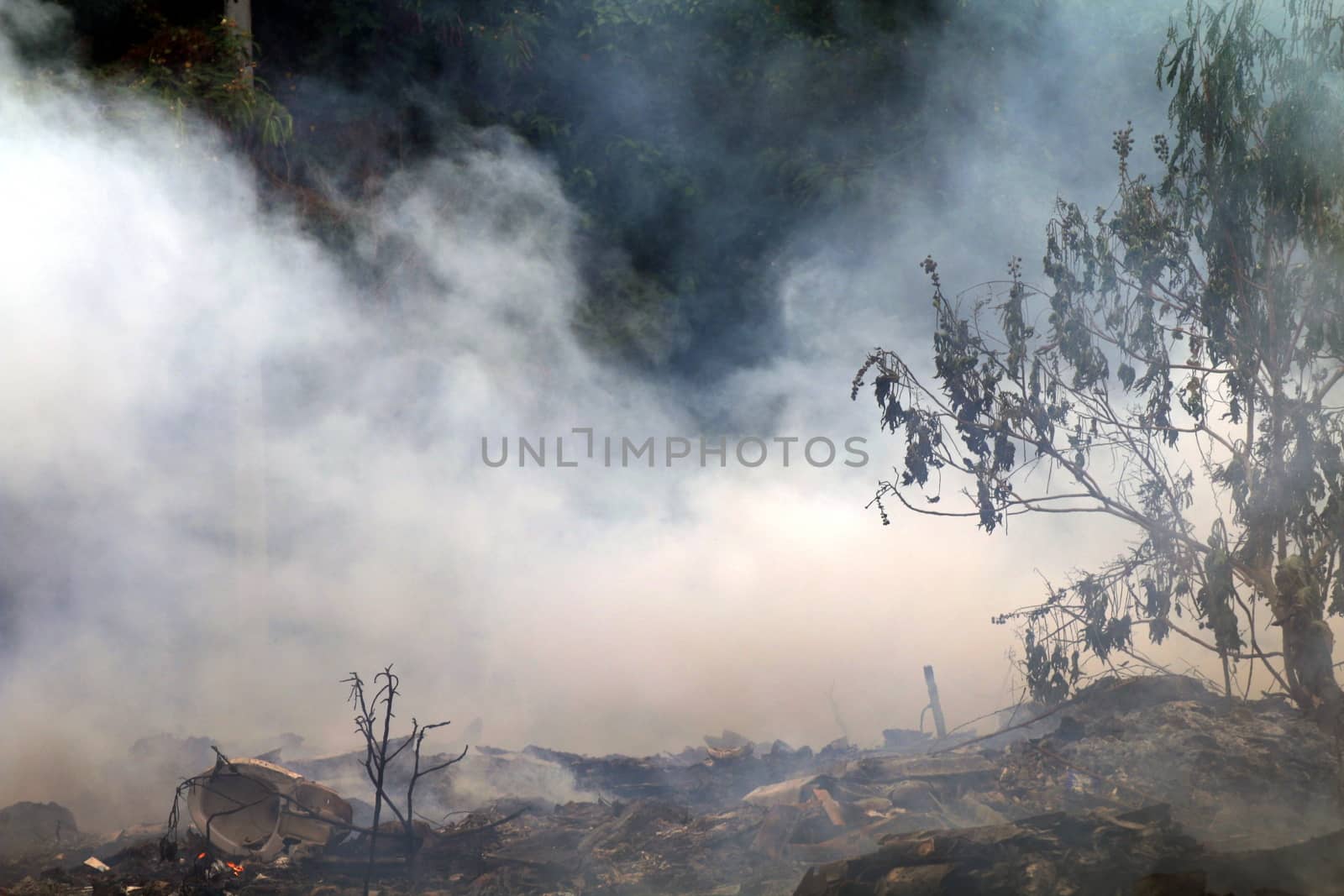 smoke of burn a lot waste garbage pollution dust, smoke generated by burning garbage in forest background by cgdeaw