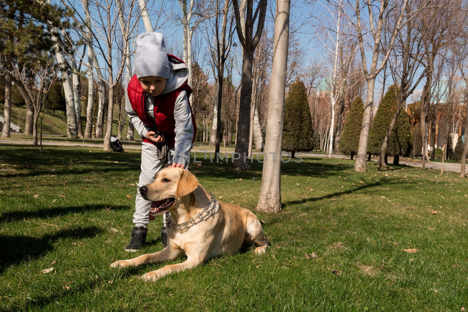 boy walking with a pet by A_Karim