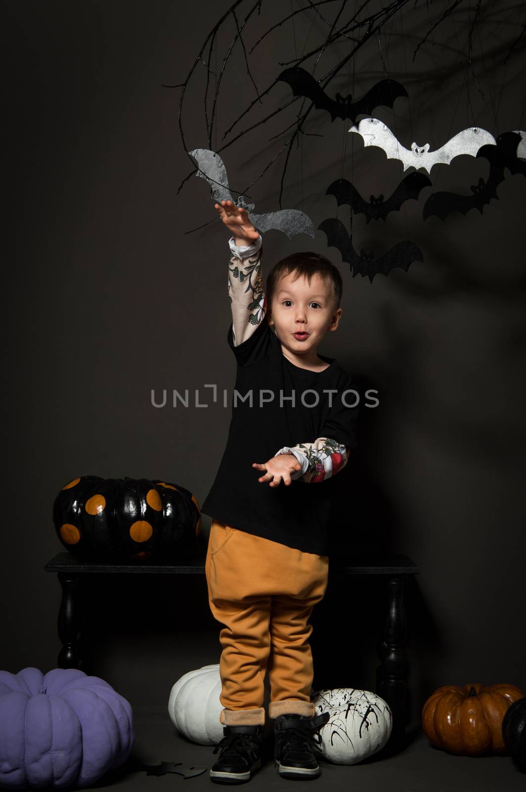 little boy on halloween party on a black background with pumpkins and bats on a tree