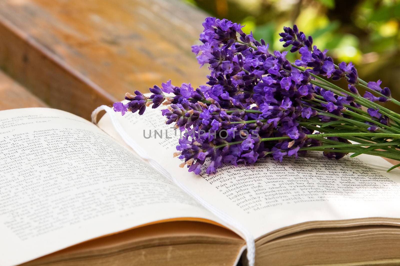 Lavender on the book