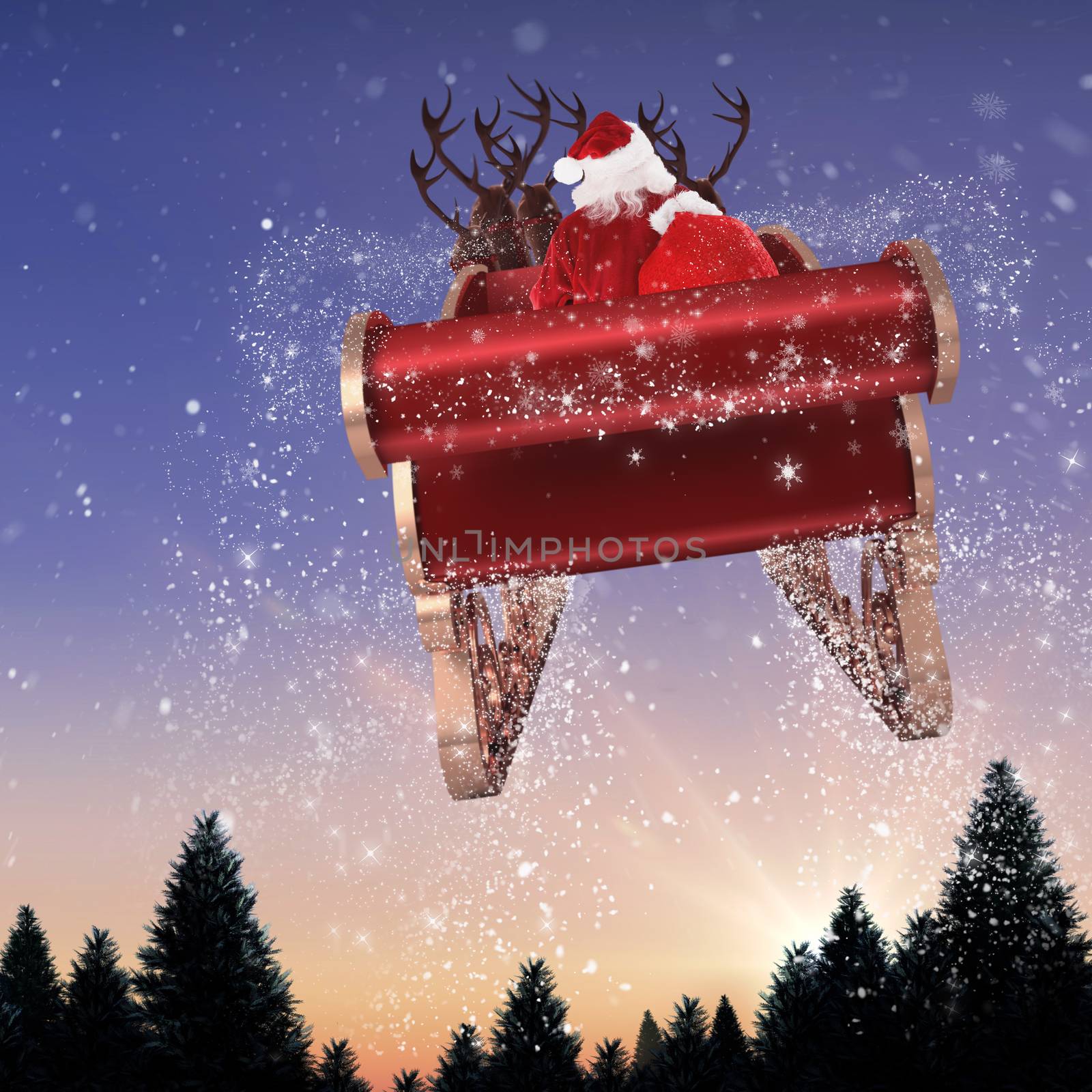 Santa flying his sleigh against snow falling on fir tree forest