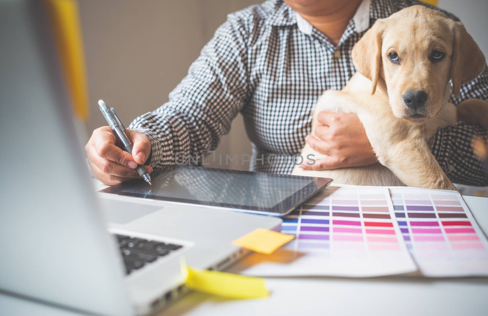 Designers and designers work at home by carrying puppies in thei by photobyphotoboy