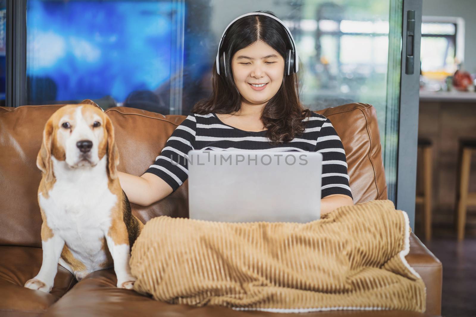 Asian business woman using technology laptop and headphone for working from home in indoor house by video conference call, sitting with dog, startups and business owner, social distance concept
