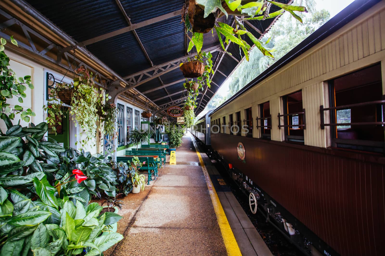 Kuranda Train Station in Queensland Australia by FiledIMAGE