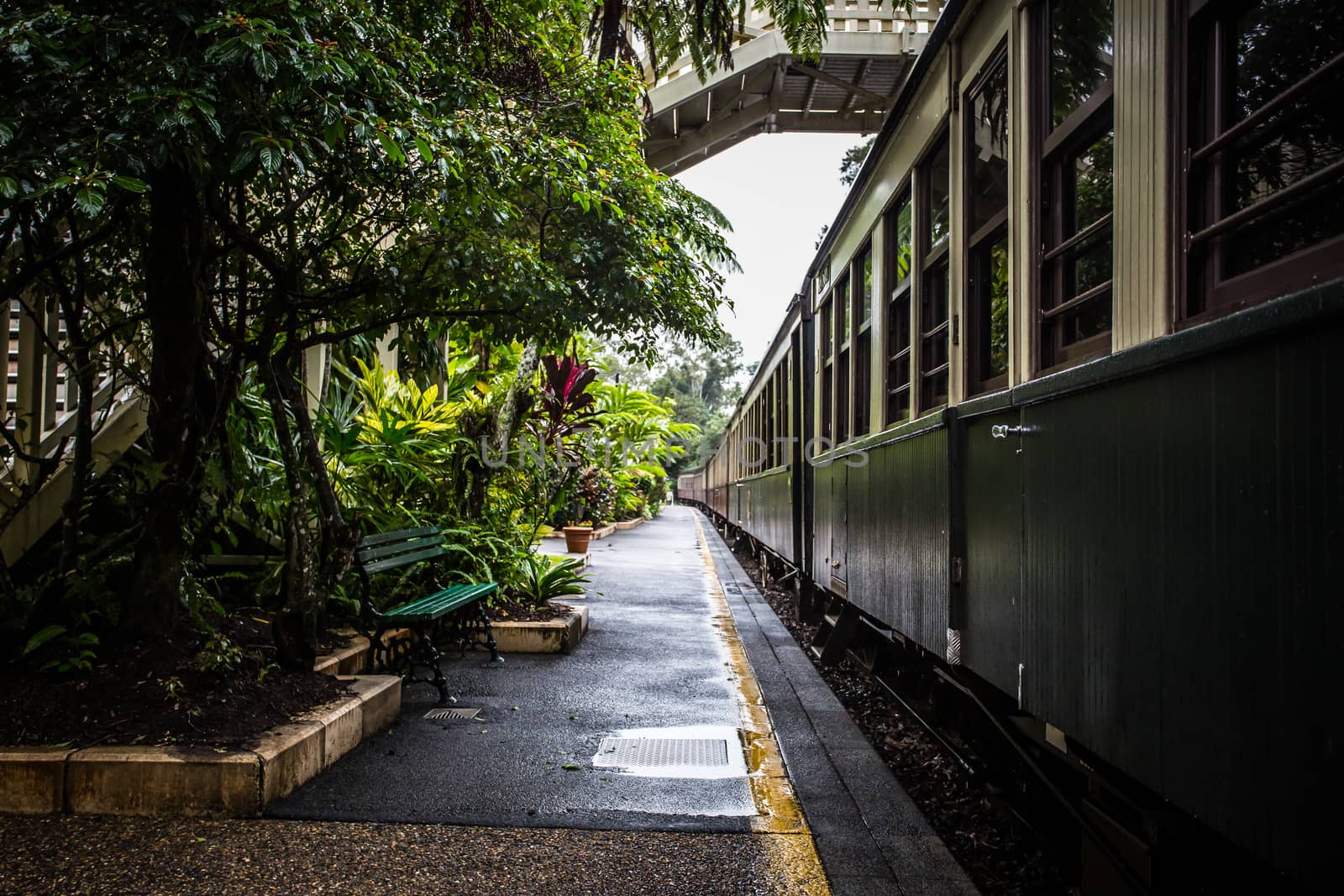 Kuranda Train Station in Queensland Australia by FiledIMAGE