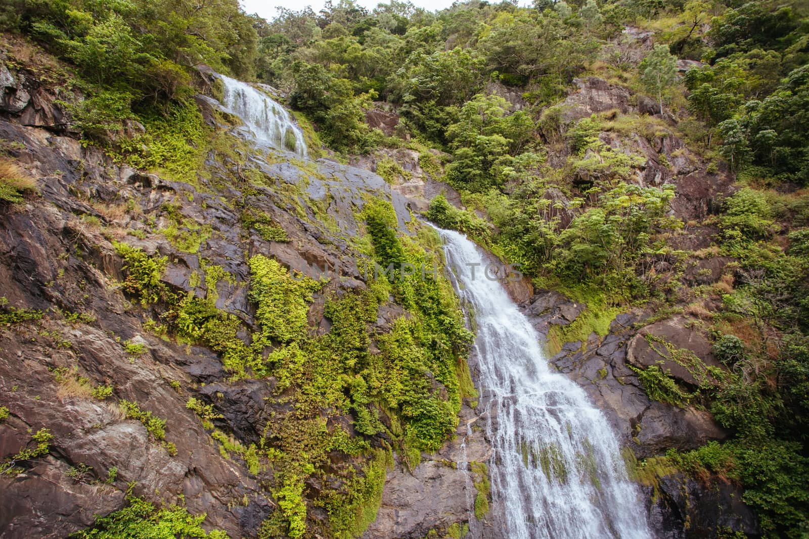 Views of rainforest and landscape from Kuranda Scenic Railway in Queensland, Australia