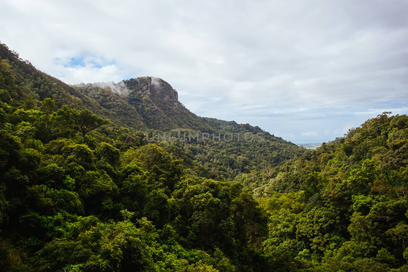 Views of rainforest and landscape from Kuranda Scenic Railway in Queensland, Australia