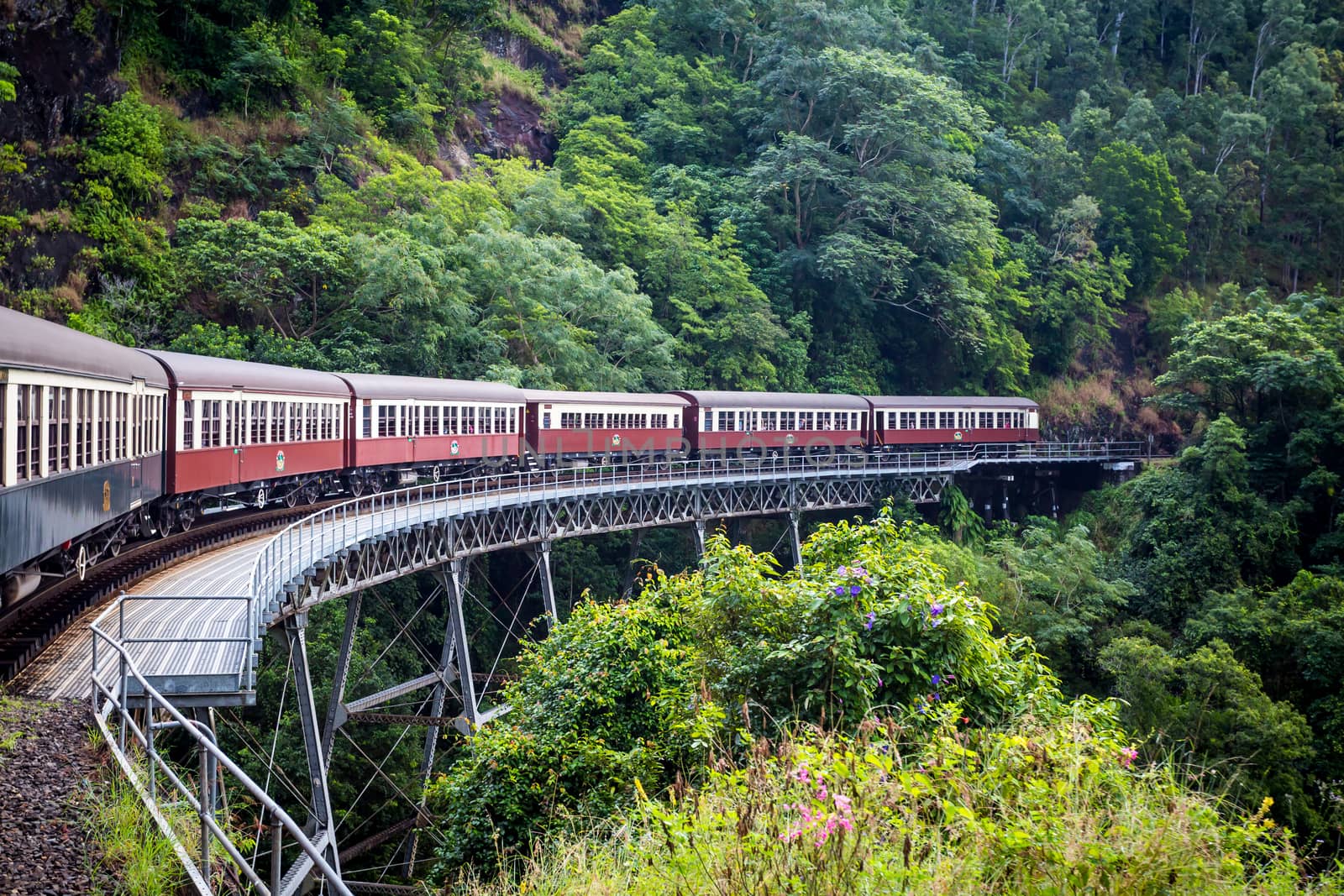 Historic Kuranda Scenic Railway in Australia by FiledIMAGE