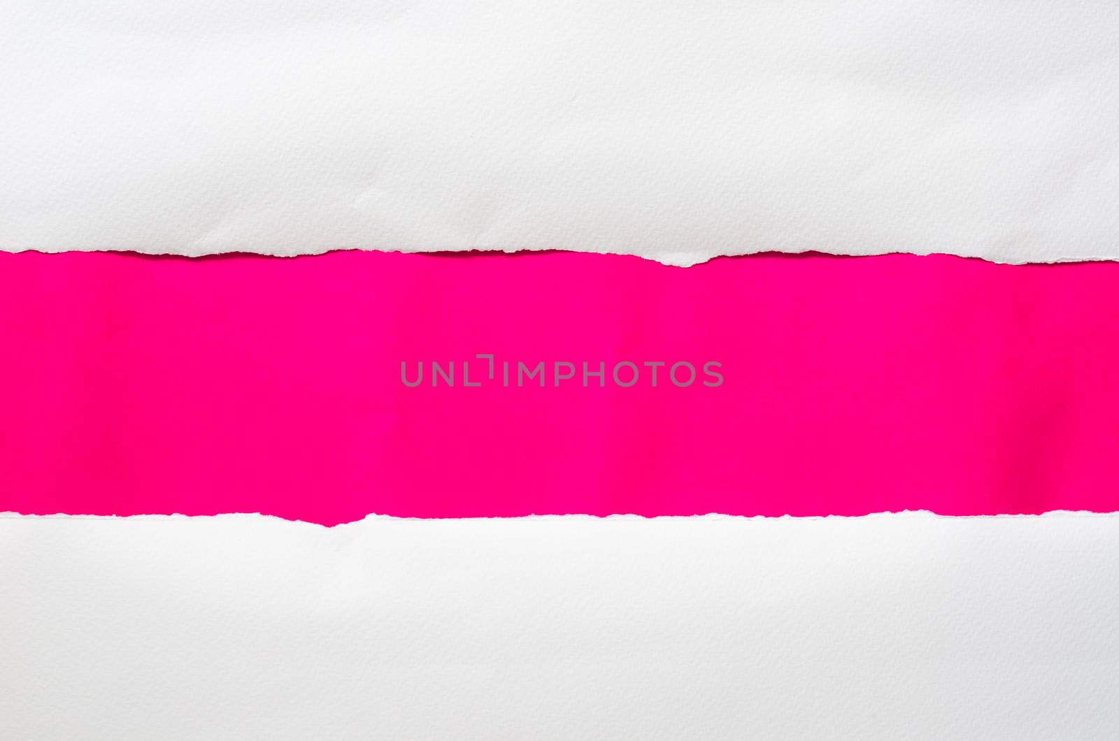 The paper is torn on a pink background and there is a cutoff to  by photobyphotoboy