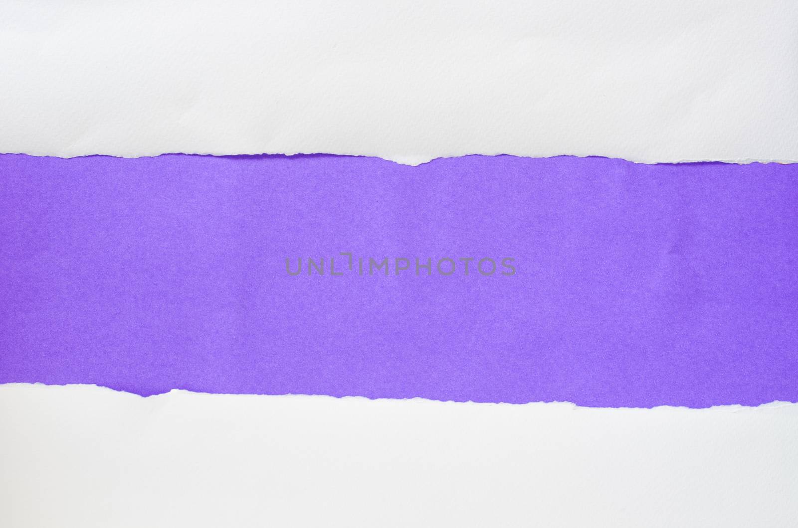 The paper is torn on a purple background and there is a cutoff to the free space for your text.