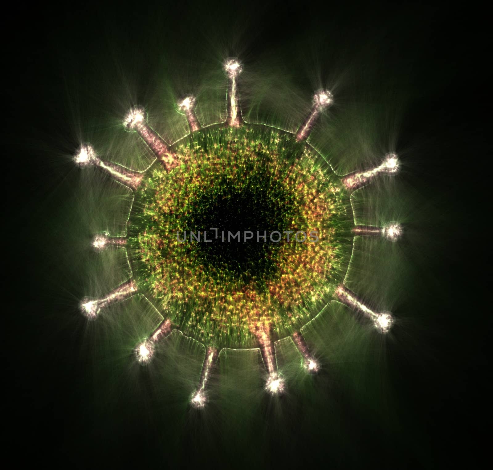 3D-Illustration of some corona virus with kirlian aura and sketc by MP_foto71