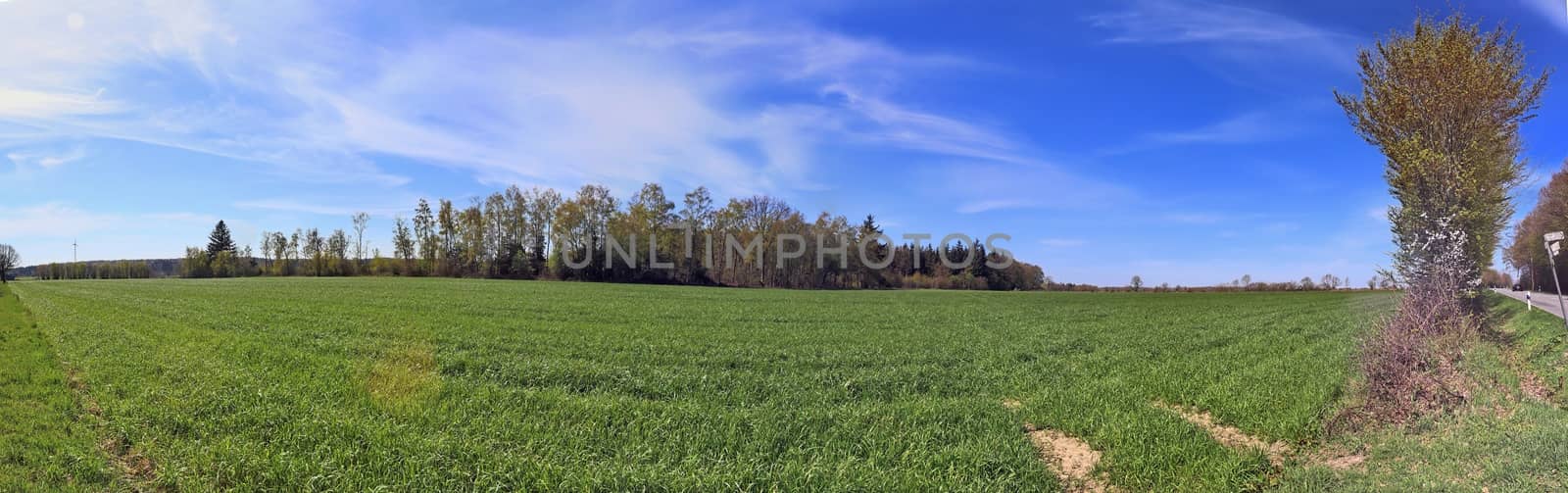 Beautiful high resolution panorama of a northern european country landscape with fields and green grass.