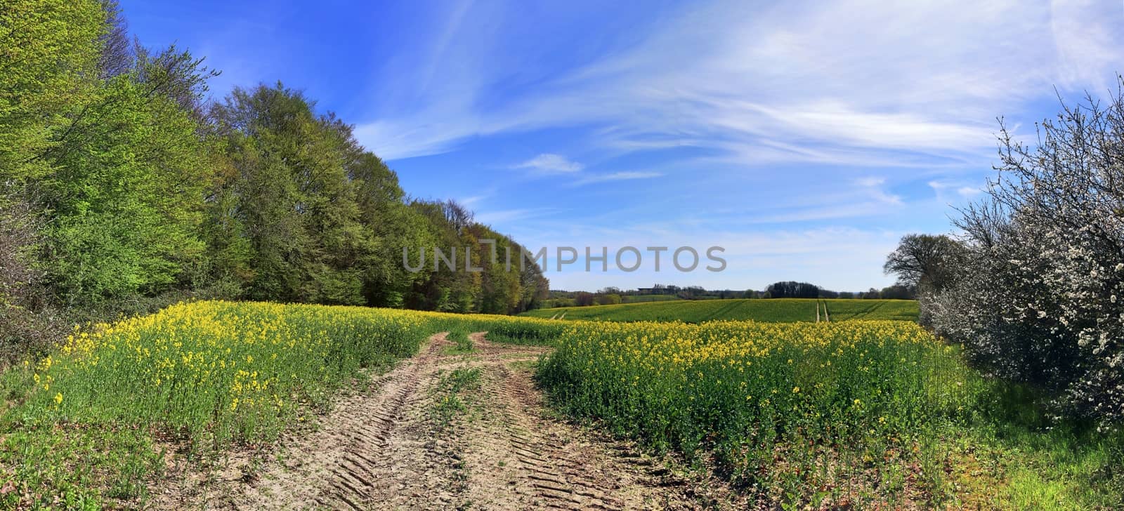 Beautiful high resolution panorama of a northern european countr by MP_foto71